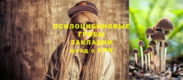 apvp Балабаново